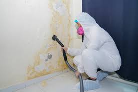 Best Commercial Mold Inspection  in Cooper City, FL